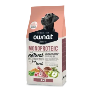 OWNAT_MONO_Lamb Dog