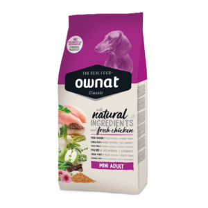 ownat mini adult dog